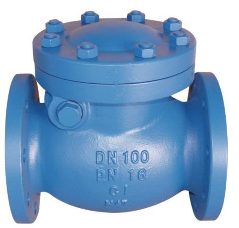 PFA Cast Iron Swing Check Valve In Turkey