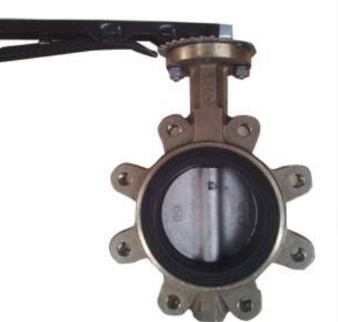 PTFE Lined Bronze Lug Type Butterfly Valve In Turkey